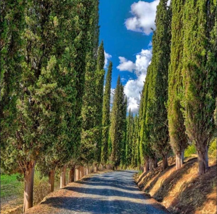 Agriturismo Fattoria Il Piano - Casa Tosca - San Gimignano Exterior photo